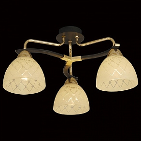 Потолочная люстра Citilux Кристи CL152232