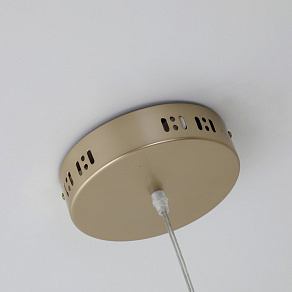 Подвесной светильник Favourite Evolve 2530-8P