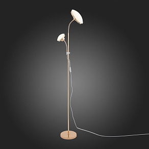 Торшер с подсветкой ST-Luce Pratico SLE120.205.02