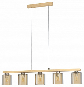 Подвесной светильник Eglo Castralvo 98592