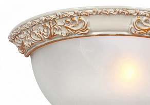 Накладной светильник Favourite Plafond 1446-1W