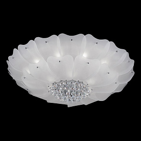 Накладной светильник Lightstar Lobo 804070