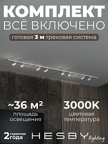 Комплект трековый Hesby Lighting Skylite №3 HSBL_kompl_S003_NI3W3K