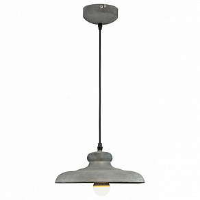 Подвесной светильник Arte Lamp Loft A5025SP-1BG