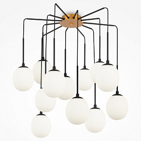 Потолочная люстра Maytoni Branch MOD176PL-12G