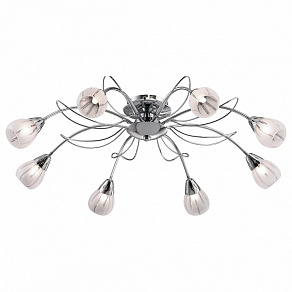 Потолочная люстра Odeon Light Posi 1613/8C