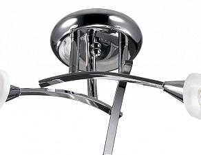 Потолочная люстра Odeon Light Imola 2623/3C