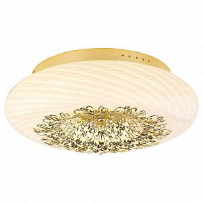Накладной светильник Arte Lamp Zucca A9111PL-6GO