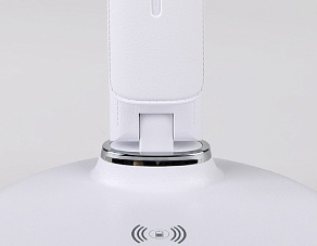 Настольная лампа офисная Ambrella DE DE520