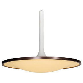 Подвесной светильник L'Arte Luce  L21762.02