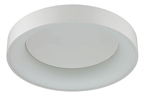 Накладной светильник Odeon Light Sole 4062/40CL