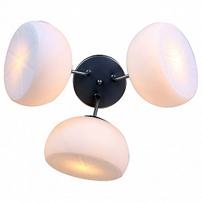 Потолочная люстра ST-Luce Arancio SL482.502.03