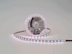 Лента светодиодная SWG SWG-CL560 00-00009900