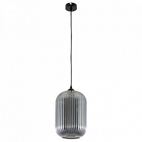 Подвесной светильник Arte Lamp Arwen A1903SP-1BK