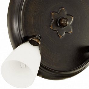 Спот Eglo Danielle 91431