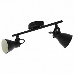 Спот Eglo Seras 2 98398