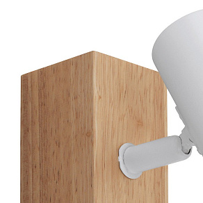 Спот Eglo Townshend 3 33168