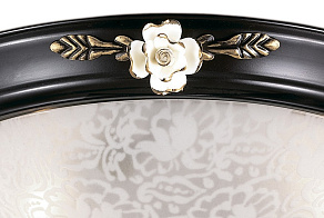 Накладной светильник Odeon Light Bone 2693/3C