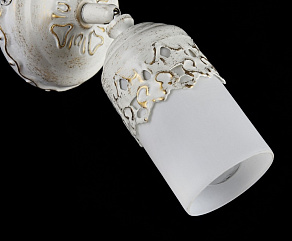 Спот Maytoni Renda ECO562-01-W