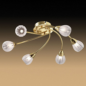Потолочная люстра Odeon Light Posi 1616/6C