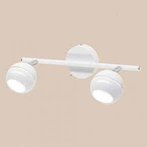 Спот Citilux Раймонд CL555520