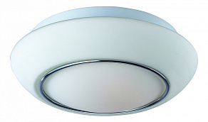 Накладной светильник ST-Luce Bagno SL497.502.03