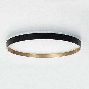 Накладной светильник Citilux ETALON CL750401R