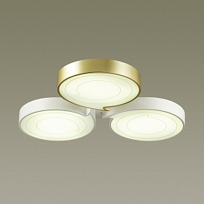 Накладной светильник Lumion Dilip 3646/60CL