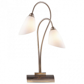 Настольная лампа декоративная Odeon Light Hedys 1373/2T