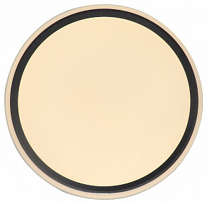 Накладной светильник Zortes BELLA ZRS.1201.07