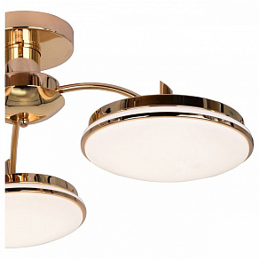 Потолочная люстра F-promo Ledante 2473-3P