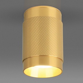 Накладной светильник Elektrostandard Tony DLN109 GU10