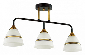 Люстра на штанге Lumion Nettie 5214/3CA
