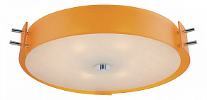 Накладной светильник ST-Luce Heggia SL484.092.04