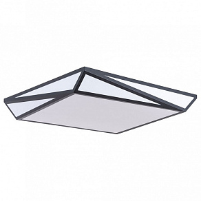 Накладной светильник Arte Lamp Multi-Piazza A1930PL-1BK