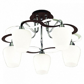 Потолочная люстра Favourite Binding 2 1279-5U