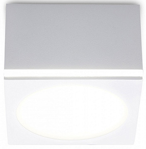 Накладной светильник Ambrella TN TN266