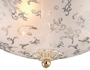 Накладной светильник Odeon Light Corbea 2670/3C