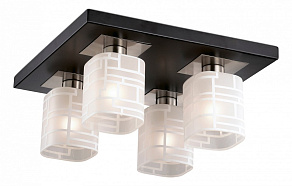 Накладной светильник Odeon Light Campus 2615/4C