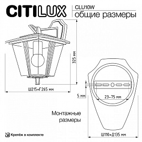 Светильник на штанге Citilux FORTS CLU10W