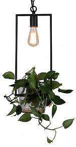 Подвесной светильник Favourite Situla 1975-1P