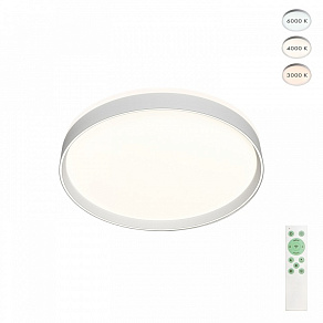 Накладной светильник Denkirs Plato DK6511-WH/1
