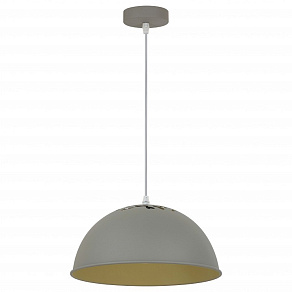 Подвесной светильник Arte Lamp Buratto A8173SP-1GY
