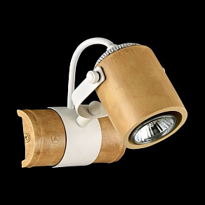 Спот Maytoni Valli ECO565-01-W