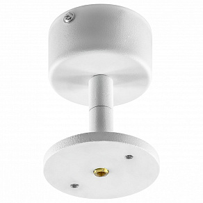Светильник на штанге Lightstar Rullo 590006 + 214436
