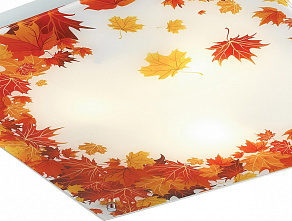 Накладной светильник Sonex Autunno 3254