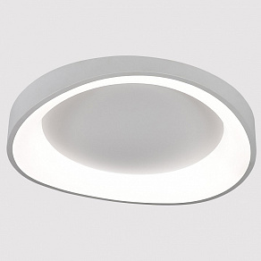 Накладной светильник Arte Lamp None A2698PL-60WH