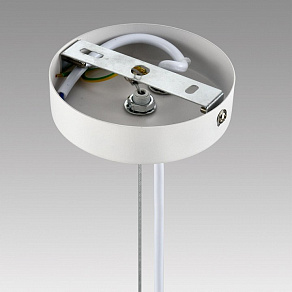 Подвесной светильник Lumion TORINA 8265/5