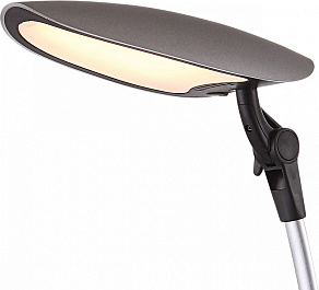 Настольная лампа офисная Globo Beaver 58129