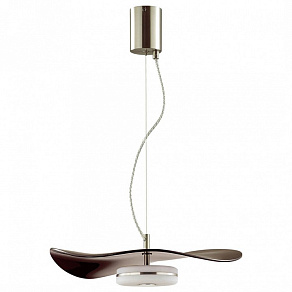 Подвесной светильник Odeon Light Fluent 4857/13L